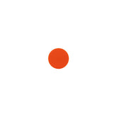 CARTEC Polishing Pad Sponge Orange Unipad