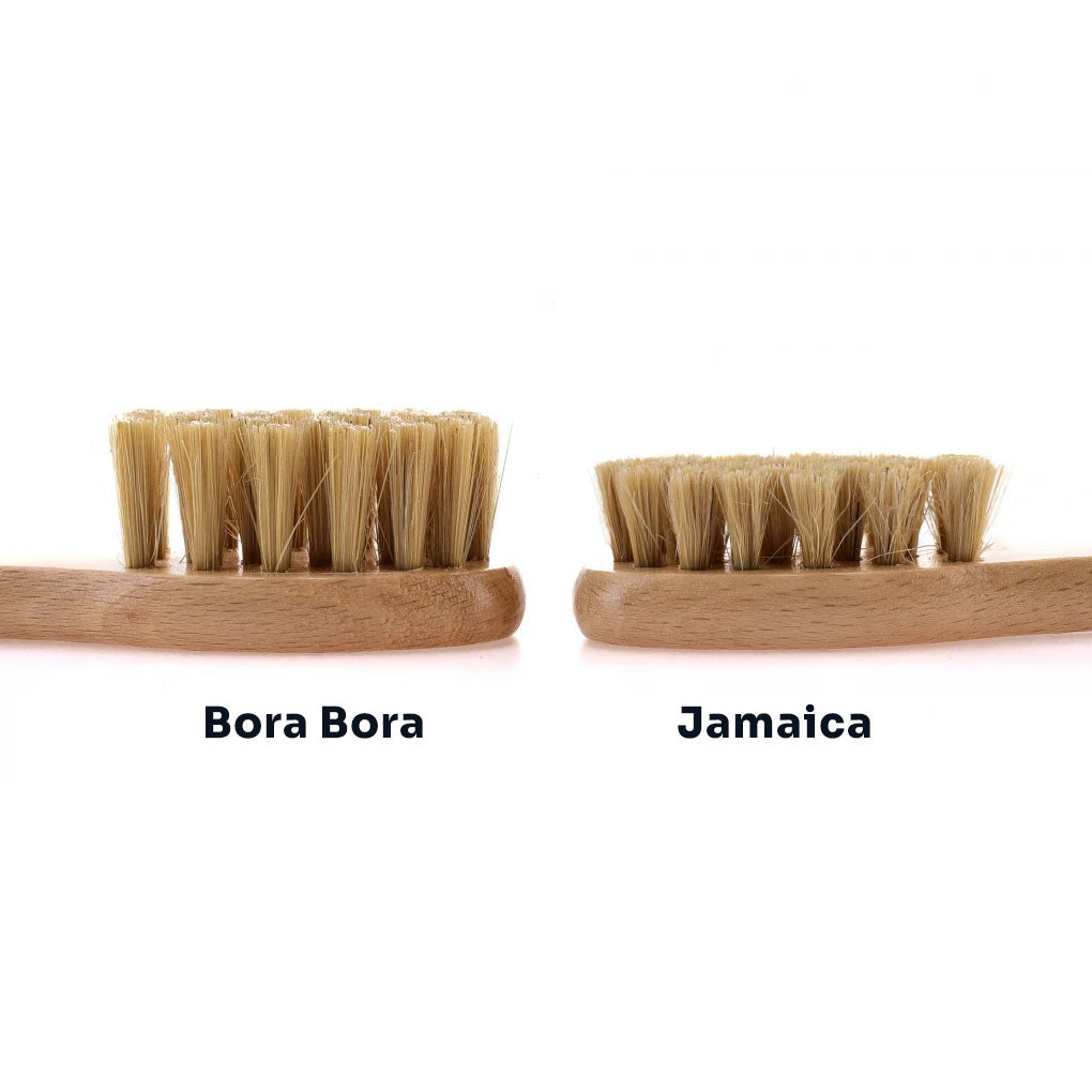 Confronto tra le spazzole Sibelum Bora Bora e Jamaica, evidenziando la differenza nelle setole per diverse esigenze di pulizia delle superfici.