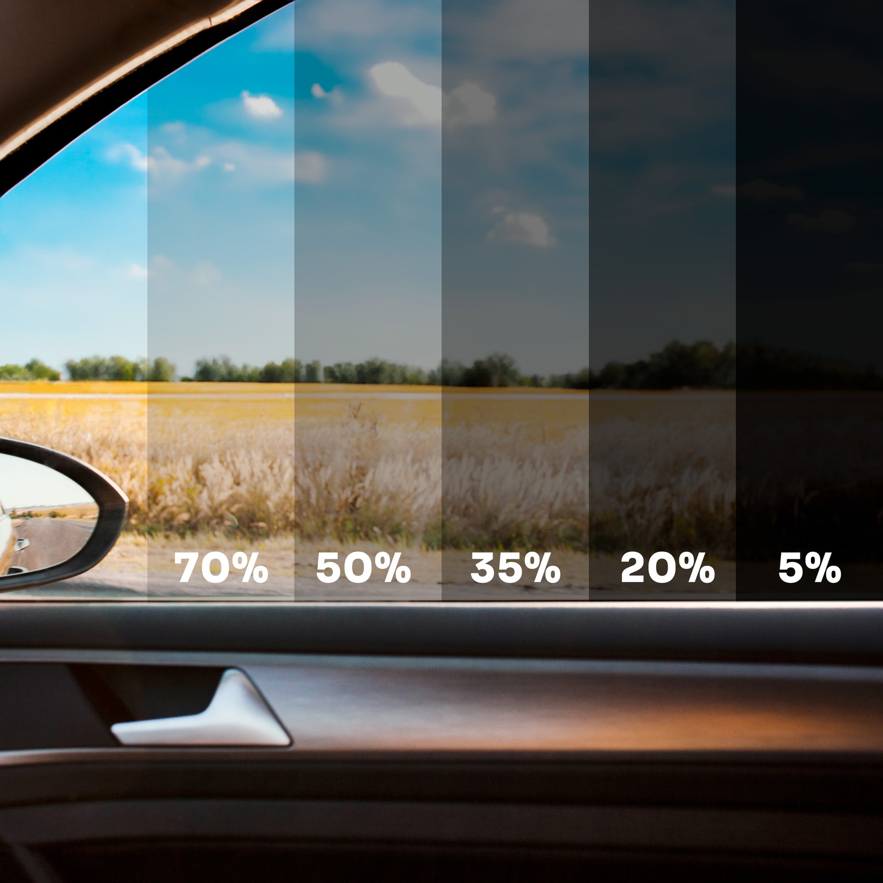 L'immagine mostra una vista attraverso un finestrino dell'auto, con sei diverse tonalità di pellicola applicata, variando dal 70% al 5% di trasmissione della luce visibile (VLT). Ogni sezione illustra l'effetto delle diverse percentuali di oscuramento, evidenziando come la visibilità esterna diminuisca con l'aumentare del grado di oscuramento. Questa visuale aiuta a comprendere l'efficacia della protezione UV e della riduzione dell'abbagliamento offerta dalle pellicole CARPRO Immortal™ UVX.