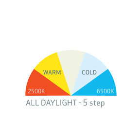 Grafico SCANGRIP ALL DAYLIGHT a 5 step, regolazione temperatura colore da 2500K a 6500K per luce calda e fredda nei lavori di detailing.