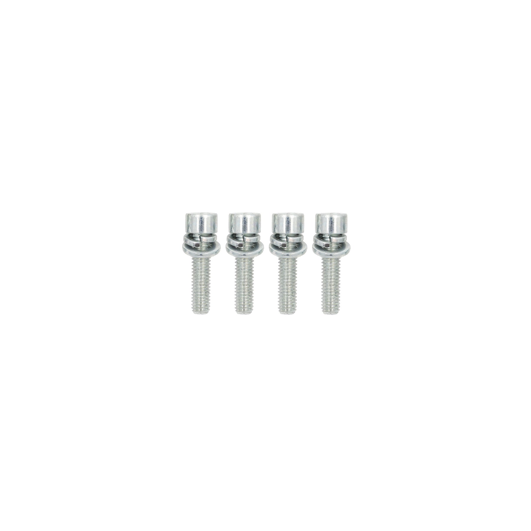 Set 4 viti corte per supporto pistoni pompa ACTIVE idropulitrice 2.0 in acciaio zincato ad alta resistenza